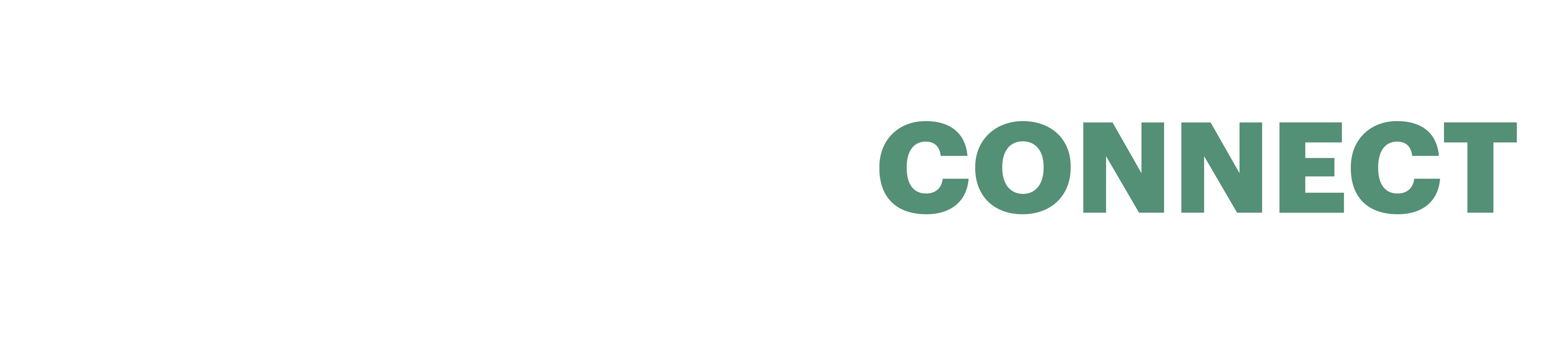 logo-CORE-Connect-02