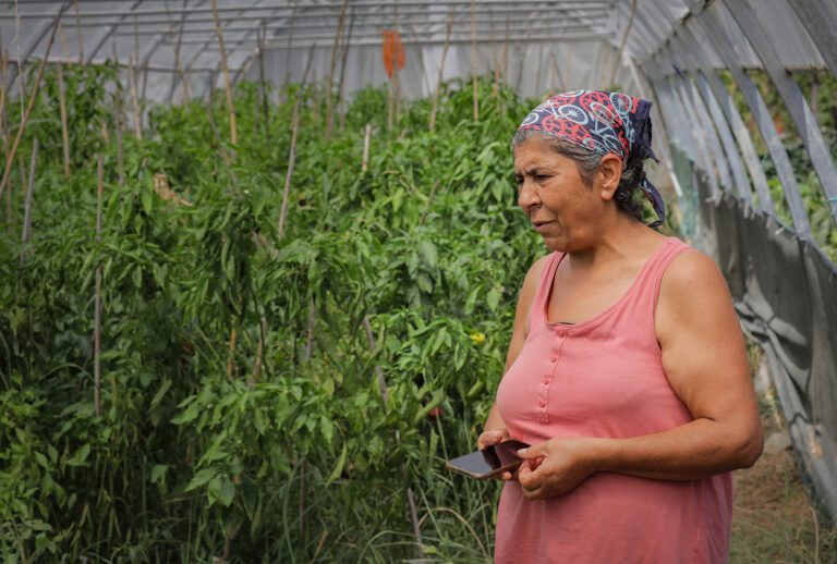 Photo of a greenhouse owner, Sebiha standing inside a greenhouse.