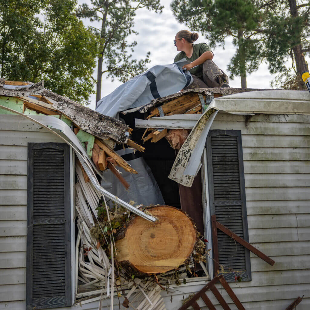 Woman positions a tarp on top of the roof of a trailer home. The roof is split in half and a tree trunk is visible in the window.
