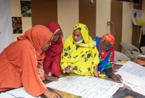Sudan Livelihoods Pilot - women writing on posterboard