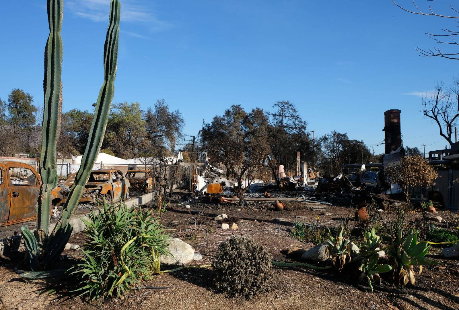 Scenes from Altadena after the Eaton Fire. In Kathy's words, “The only way to describe it is kind of like a graveyard. The headstones are the remaining chimneys, or maybe a wall standing here or there, or an iron gate that used to be the entrance to a home.”