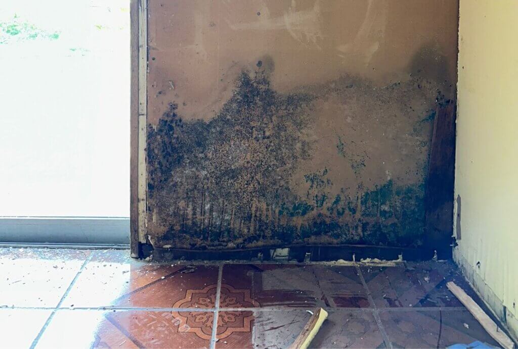 JA TX floods mold