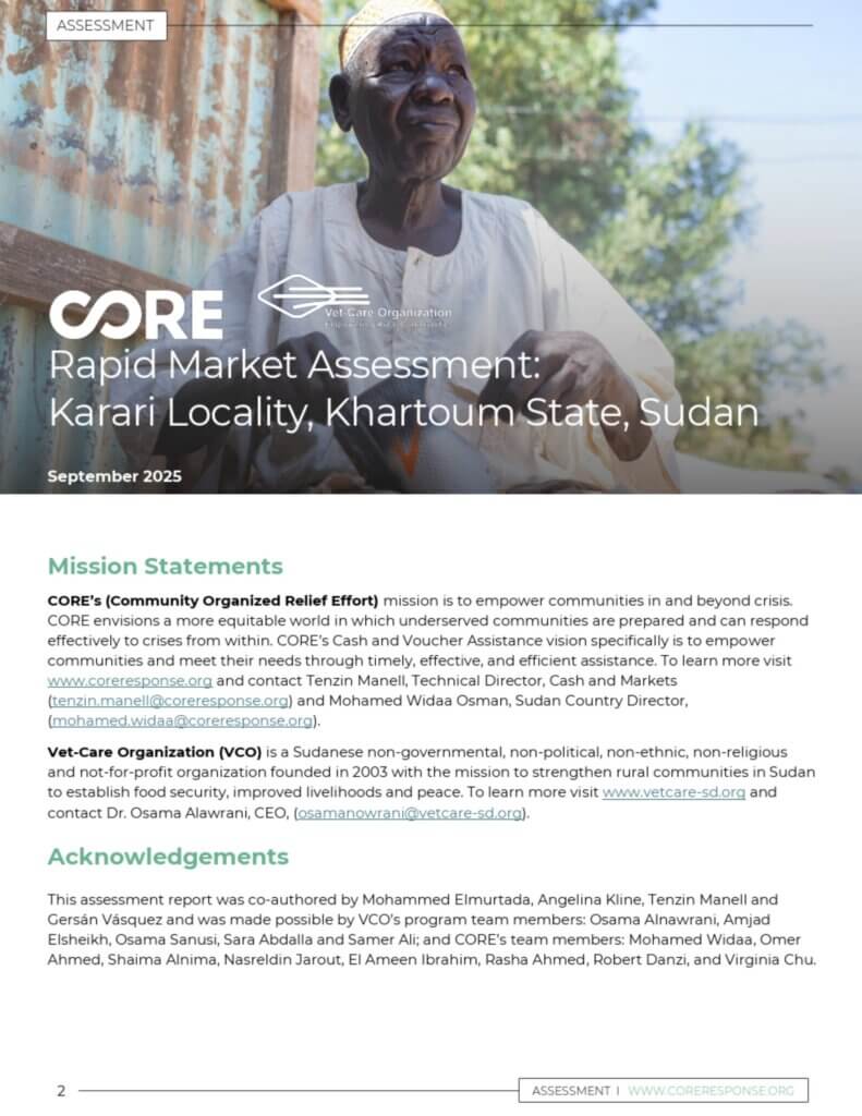 Sudan needs assessment