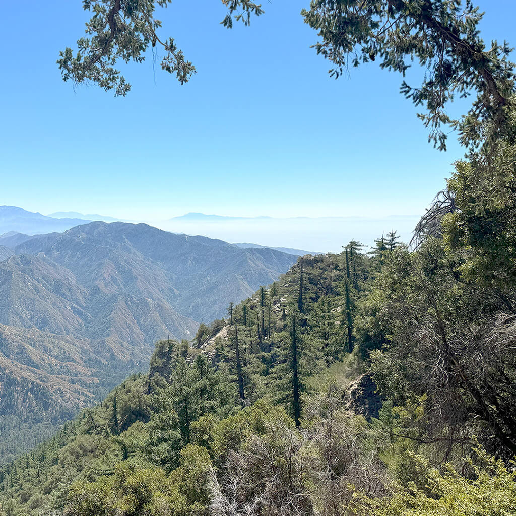 A few of the Angeles Nation Forest. Showing tress and distant mountain peaks.