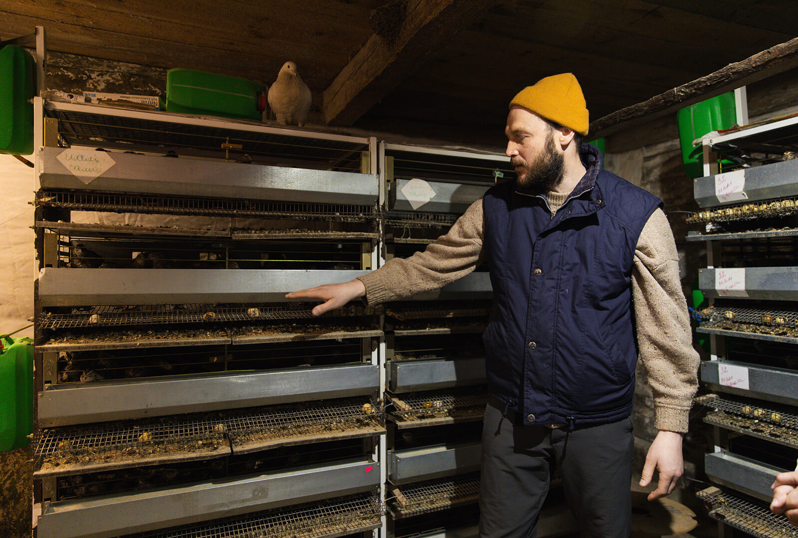A man, Ihor, points towards an incubator for small quail.