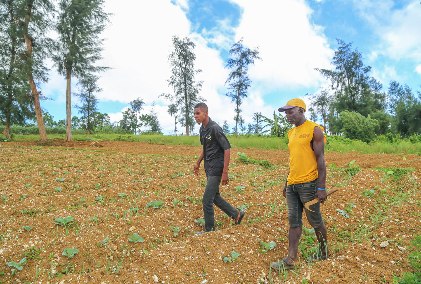 Farmers in Haiti increased their income through improved market linkages and sustainable agriculture training.