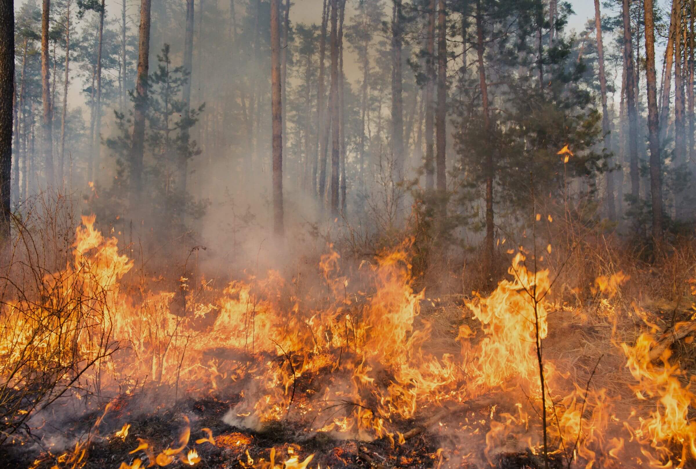 spokane_fires_response