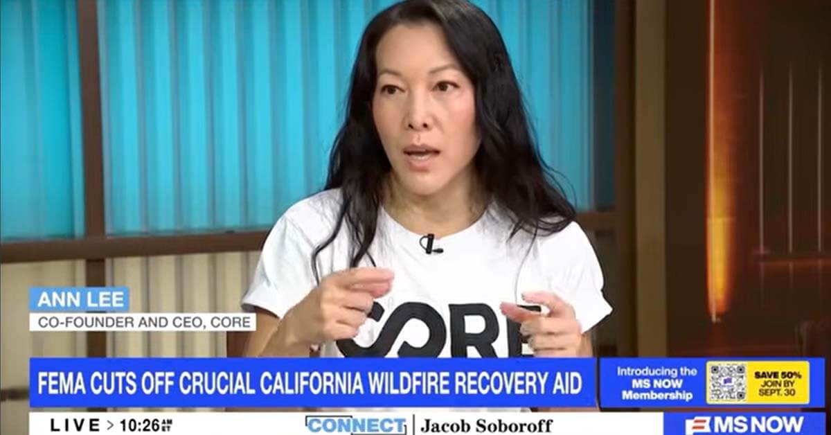 A screengrab from CORE's CEOs appearance on MSNOW.
