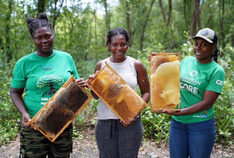 Three women pose for a photo holding up honeycombs from manmade bee boxes